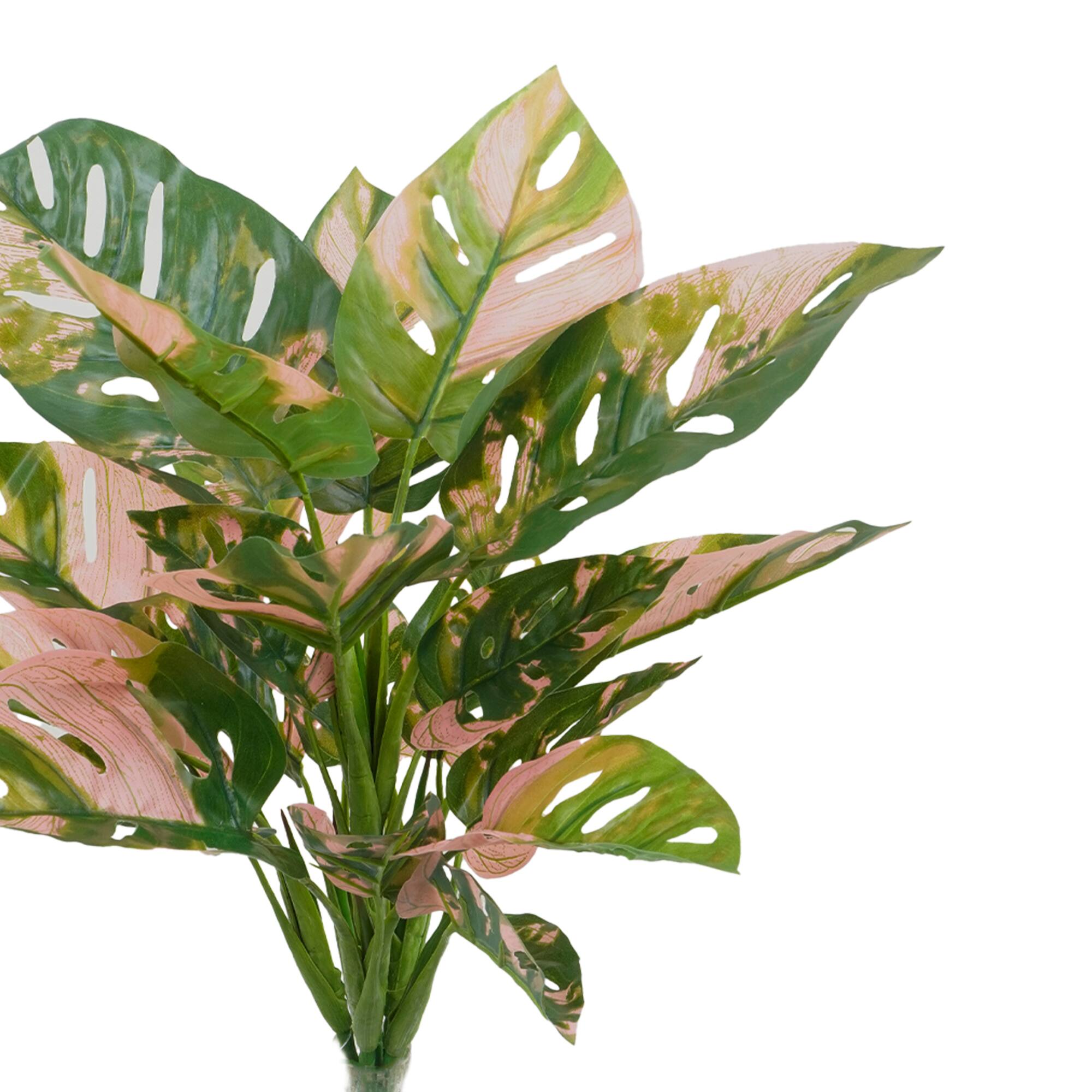 21" Green Monstera Bush by Ashland®